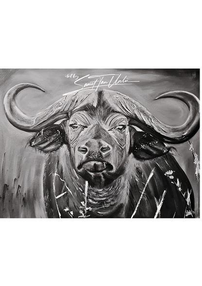 Buffalo
