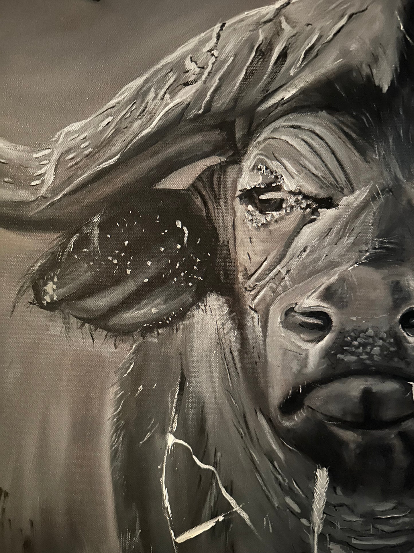 Buffalo