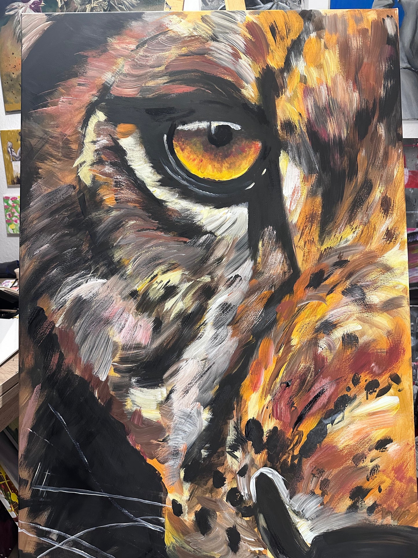 Lions Eye